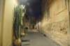 dsc_5118_small.jpg
