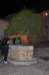 dsc_5124_small.jpg