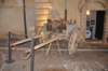 dsc_5148_small.jpg