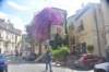 dsc_5155_small.jpg