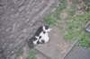 dsc_5175_small.jpg