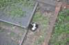 dsc_5176_small.jpg