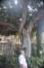 dsc_5177_small.jpg