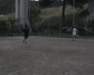 Photo Number 11