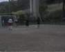 Photo Number 13
