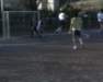 Photo Number 7